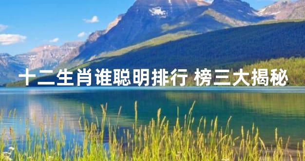 十二生肖谁聪明排行 榜三大揭秘
